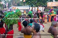 Nallur Kandaswamy Kovil Saparam festival 2013 (24)