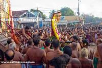Nallur Kandaswamy Kovil Saparam festival 2013 (3)