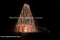 Nallur Kandaswamy Kovil Saparam festival 2013 (36)