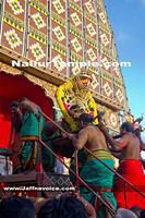 Nallur Kandaswamy Kovil Saparam festival 2013 (5)