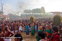 Nallur Kandaswamy Kovil Saparam festival 2013 (6)