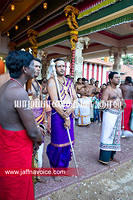 Nallur Temple festival-2012-Day04 (19)