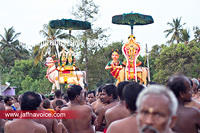 Nallur Temple festival-2012-Day07 (10)