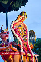 Nallur Temple festival-2012-Day07 (16)