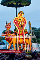 Nallur Temple festival-2012-Day07 (17)