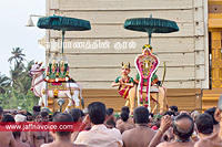 Nallur Temple festival-2012-Day07 (3)