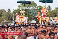 Nallur Temple festival-2012-Day07 (4)