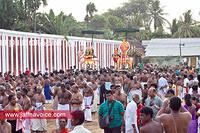 Nallur Temple festival-2012-Day07 (9)