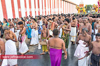 Nallur Temple festival-2012-Day08 (10)