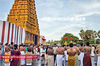 Nallur Temple festival-2012-Day08 (9)