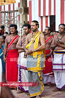 Nallur Temple festival-2012-Day09 (15)