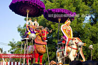 Nallur Temple festival-2012-Day09 (8)