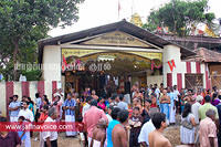 nallur kandaswamy temple festival 2012 day12 (10)