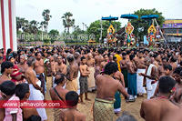 nallur kandaswamy temple festival 2012 day12 (11)