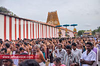 nallur kandaswamy temple festival 2012 day12 (12)