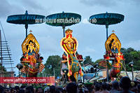 nallur kandaswamy temple festival 2012 day12 (16)