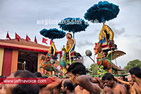 nallur kandaswamy temple festival 2012 day12 (7)