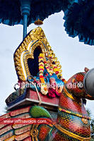 nallur kandaswamy temple festival 2012 day12 (9)