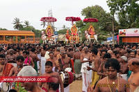 nallur kandaswamy temple festival 2012 day13 (3)