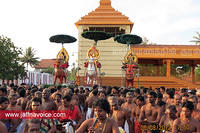 nallur kandaswamy temple festival 2012 day15 (2)