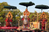 nallur kandaswamy temple festival 2012 day15 (4)