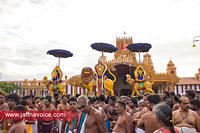 nallur kandaswamy temple festival 2012 day16 (3)