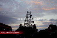 nallur kandaswamy temple festival 2012 day16 (32)