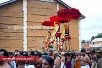 nallur kandaswamy temple festival 2012 day17 (11)
