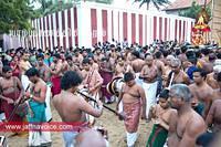 nallur kandaswamy temple festival 2012 day17 (13)