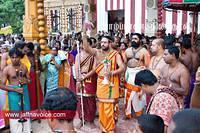 nallur kandaswamy temple festival 2012 day17 (15)