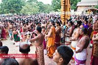 nallur kandaswamy temple festival 2012 day17 (16)
