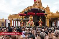 nallur kandaswamy temple festival 2012 day17 (2)