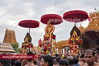 nallur kandaswamy temple festival 2012 day17 (3)
