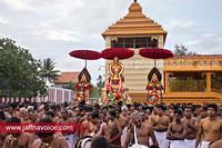 nallur kandaswamy temple festival 2012 day17 (4)