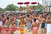 nallur kandaswamy temple festival 2012 day17 (7)