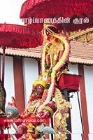nallur kandaswamy temple festival 2012 day17 (9)