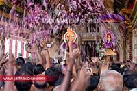 nallur kandaswamy temple festival 2012 day19 (1)