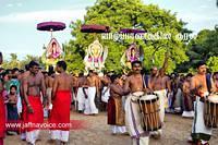 nallur kandaswamy temple festival 2012 day19 (11)