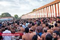 nallur kandaswamy temple festival 2012 day19 (13)