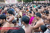 nallur kandaswamy temple festival 2012 day19 (15)