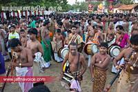 nallur kandaswamy temple festival 2012 day19 (16)