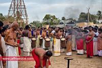 nallur kandaswamy temple festival 2012 day19 (2)