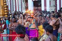 nallur kandaswamy temple festival 2012 day19 (21)