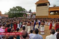 nallur kandaswamy temple festival 2012 day19 (4)