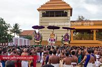 nallur kandaswamy temple festival 2012 day19 (5)