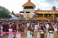 nallur kandaswamy temple festival 2012 day19 (6)