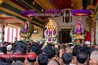 nallur kandaswamy temple festival 2012 day19