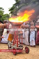 Karthikai Deepam Festival in Nallur Kandasamy kovil 2012 (8)