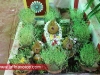 neddilipay-ganesh-temple-74