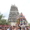 மாவிட்டபுரம் கந்தசுவாமி ஆலய தேர்த்திருவிழா(புகைப்படங்கள்)